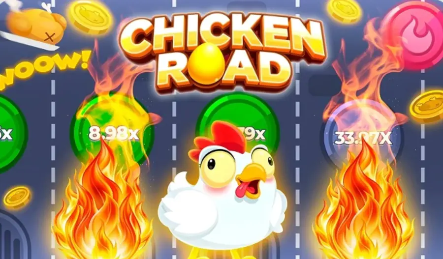 Avis chicken road